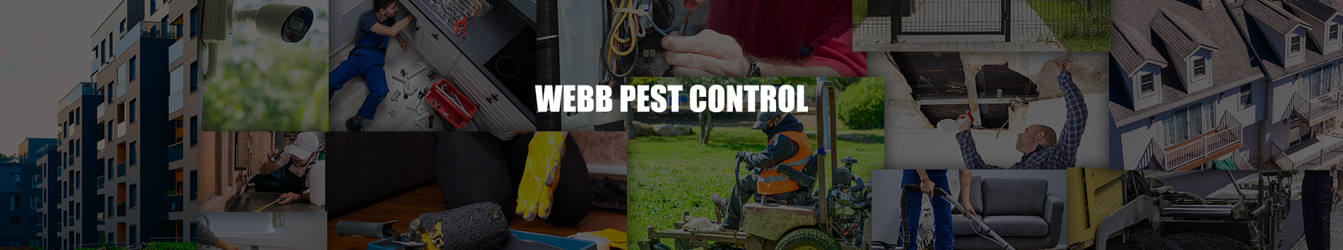 Webbs Pest Control