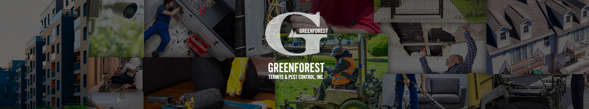 Greenforest Landscaping & Maintenance